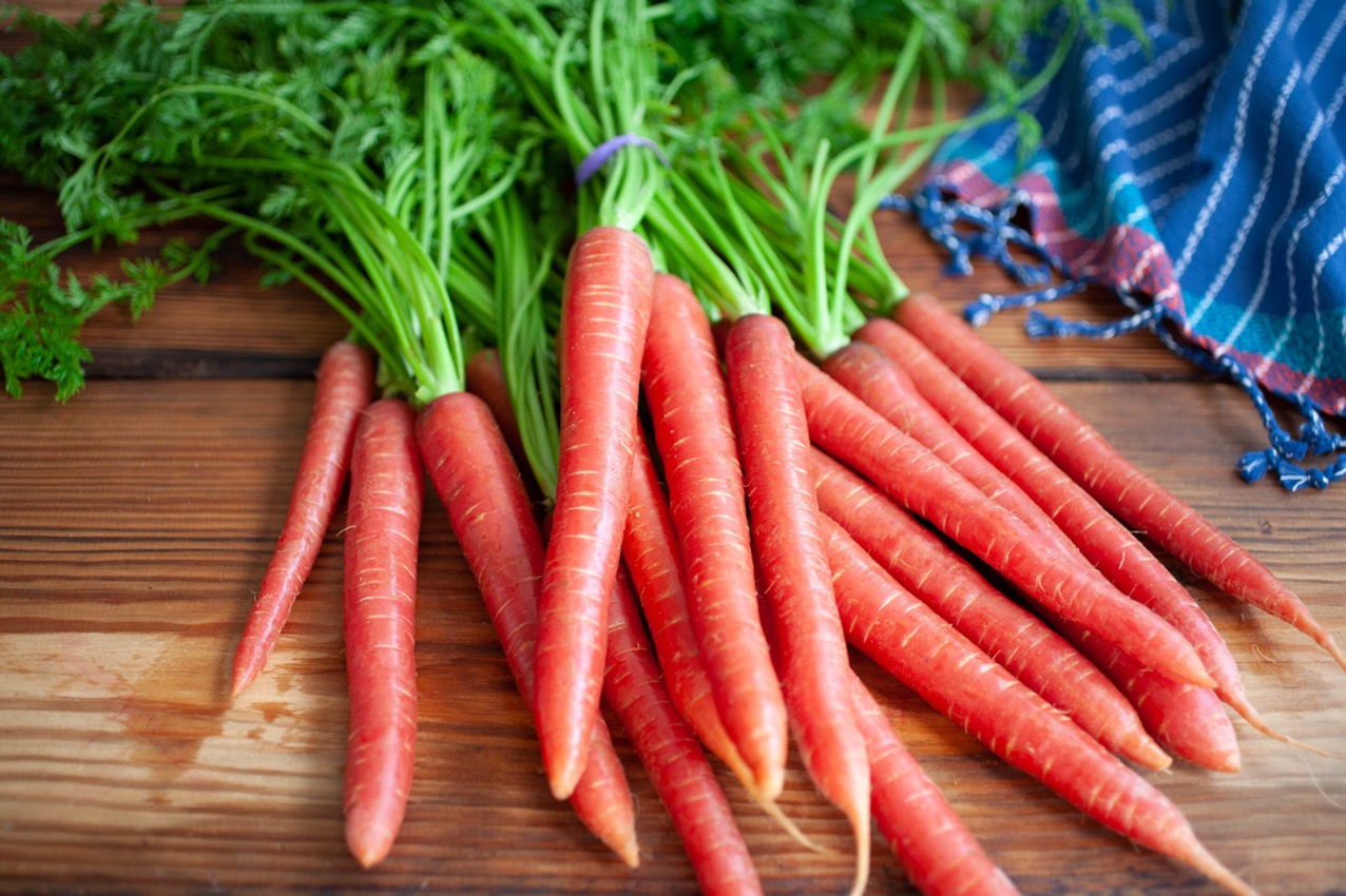 Carrot (गाजर)