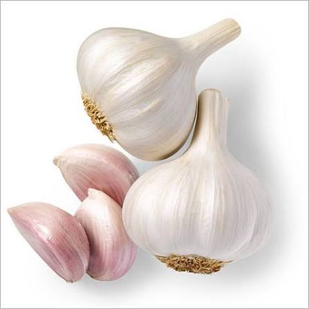 Garlic (लहसुन)
