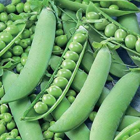 Green Peas (मटर)