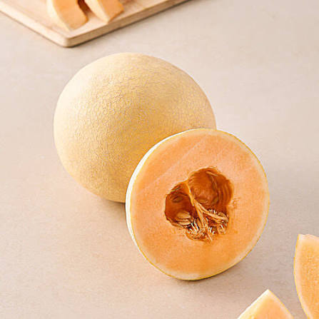 Muskmelon (खरबूजा)