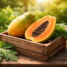 Papaya-पपीता