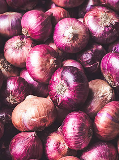 Onion (प्याज)
